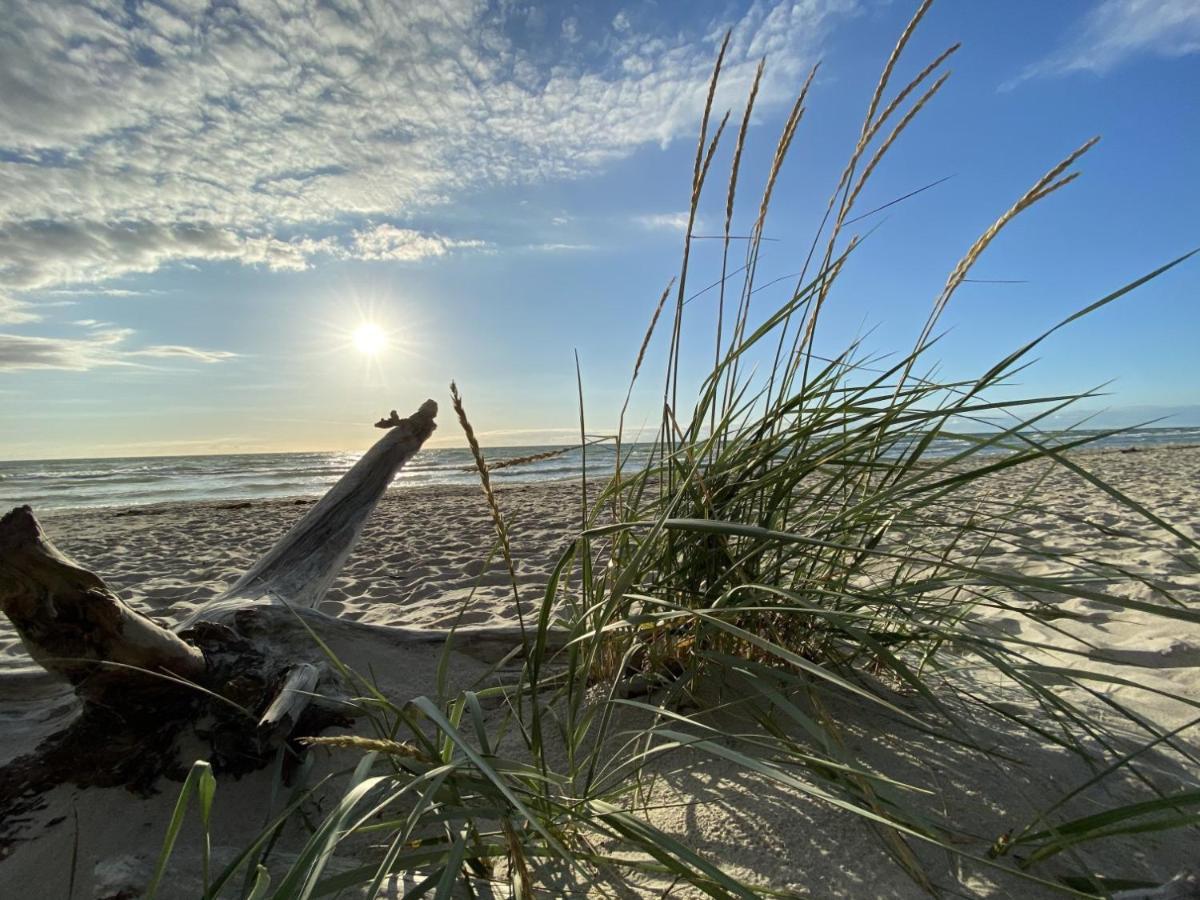 Fewo Unweit Warnemuende Sobierajczyk In Markgrafenheide Rostock Exterior photo